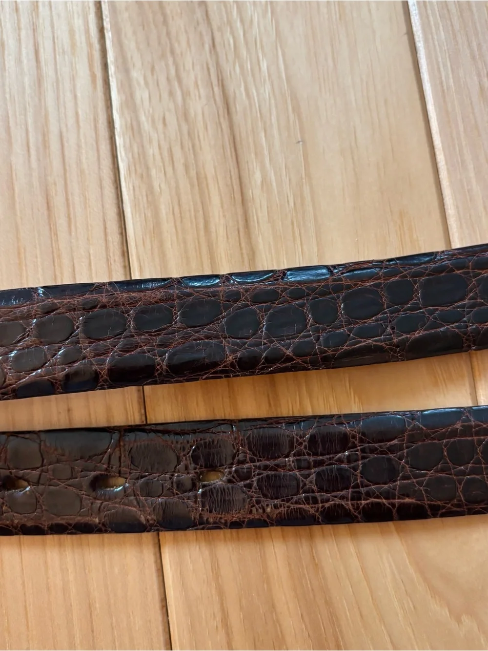 Vintage hickok alligator